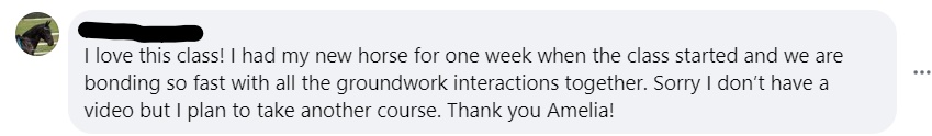 A social media comment reads: I love this class! I had my new horse for one week when the class started and we are bonding so fast with all the groundwork interactions together. Sorry I dont have a video but I plan to take another course. Thank you Amelia!.