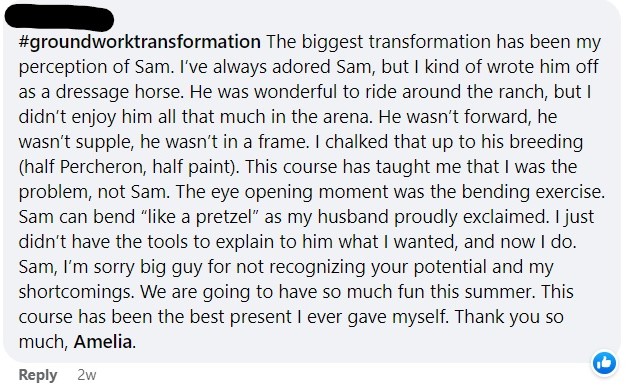 A social media comment with the hashtag groundworktransformation describing how the author has learned to better understand and appreciate their horse, Sam, through a course. The comment ends with thanks to Amelia.