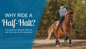 A rider in a patterned shirt and helmet guides a chestnut horse in an outdoor arena. The image reads: Why Ride a Half-Halt? Discover the secret to riding effective half-halts and why this riding technique is crucial!.