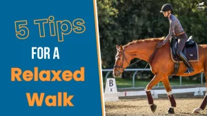 A rider in a helmet guides a chestnut horse at a walk in an outdoor arena, demonstrating good horse training. Text on a blue background reads: “5 Tips For a Relaxed Walk.”.