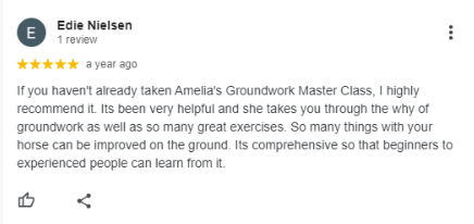 A Google review by Edie Nielsen gives five stars to Amelias Groundwork Master Class, praising its helpfulness, comprehensive content, and suitability for all skill levels, from beginners to experienced people.