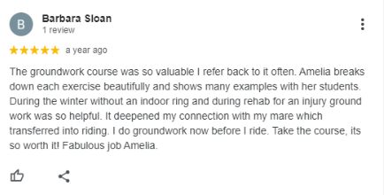 A Google review by Barbara Sloan praising a groundwork course taught by Amelia. She gives five stars and describes how the course was helpful, especially during rehab, and recommends it to others.