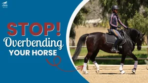 A rider on a black horse in an arena with text saying, STOP! Overbending your horse. An arrow points to the horse’s outside shoulder, highlighting drifting and showing how to fix incorrect bending.