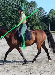 A person wearing a helmet rides a brown horse at a walk. Green lines highlight the rider’s upright posture and arm angles, demonstrating Free Rider Position Training. Trees and utility wires are visible in the background.