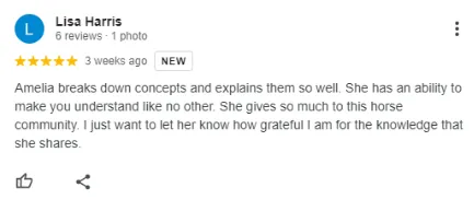 A Google review by Lisa Harris, rated five stars, praises Amelia for clearly explaining concepts, helping others understand, and contributing greatly to the horse community. The review expresses gratitude for Amelias knowledge.