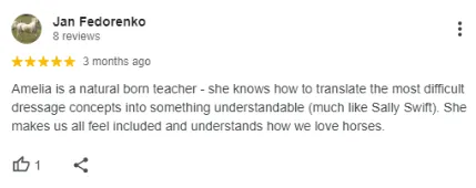 A five-star review from Jan Fedorenko praising Amelia as a natural-born teacher who explains difficult dressage concepts clearly and makes everyone feel included and understood.