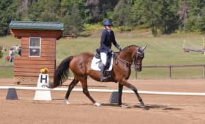 Member Tammy, in formal attire and helmet, guides a brown horse’s strides during a dressage test in an outdoor arena, with a wooden judges booth and green trees in the background.