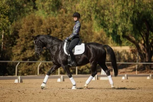 A person wearing a helmet and patterned shirt rides a black horse with white leg wraps and a white saddle pad in an outdoor dressage training arena, surrounded by trees.