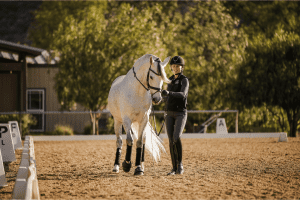 A person in equestrian attire leads a white horse across a sandy riding arena on a sunny day, with green trees and a building in the background. Dressage letters mark the edge, creating an ideal setting to Open Page or practice skills like Canter V1.