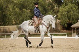 A person wearing a black helmet, blue patterned shirt, and brown chaps canters a light gray horse in an outdoor sandy arena, surrounded by trees and a wooden fence—perfect for an Open Page adventure.