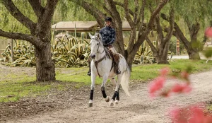 A person wearing a cowboy hat rides a white horse along a dirt path lined with trees and greenery, with Canter V2 large plants in the background and pink flowers in the foreground.