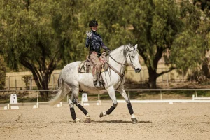 A person wearing a helmet and patterned shirt rides a white horse in an outdoor sandy arena, waving and smiling at the camera, with trees and Canter V2 dressage markers in the background.