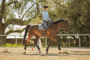 A person wearing a helmet, blue patterned shirt, and riding boots is riding a brown horse in an outdoor arena surrounded by trees. The horse moves calmly along the sandy ground near a marker labeled “E” as they prepare to practice Canter V1.
