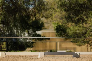 A sandy equestrian arena bordered by a low white barrier features lush green trees and a metal rail fence in the background on a sunny day, perfect for trying out Canter V1 or an open page ride.