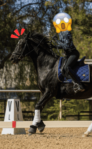 A person cantering on a black horse in an arena, wearing a dark outfit and helmet. The rider’s face is covered with a shocked emoji. The horse’s bridle is pulled, with arena markers and trees visible—an Open Page moment in action.