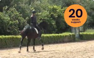 A person wearing a helmet rides a dark horse in an outdoor arena, demonstrating the Rider Position Blueprint. A yellow-orange circle on the right displays the text 20 weeks support. Green bushes and trees are in the background.