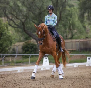 A chestnut horse with a star and snip performs a shoulder-in in a dressage arena, guided by a student through precise adjustments of the inside and outside rein.