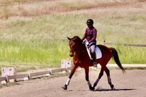 A person wearing a helmet and striped jacket rides a brown horse with white leg wraps in an outdoor dressage arena, grassy hills in the background—an inspiring moment reminiscent of Amelia's Dream Circle.