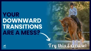 A rider on a chestnut horse is shown on the right, and on the left, bold text reads, Sloppy transitions got you down? Try this exercise to fix transitions! An arrow points from the text to the rider.