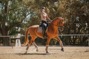 A person wearing a helmet rides a chestnut horse in an outdoor arena, preparing for Round 2025. The horse is trotting with its front leg lifted, both focused as they pass the E marker. Trees surround the arena, hinting at upcoming Open $297 events.