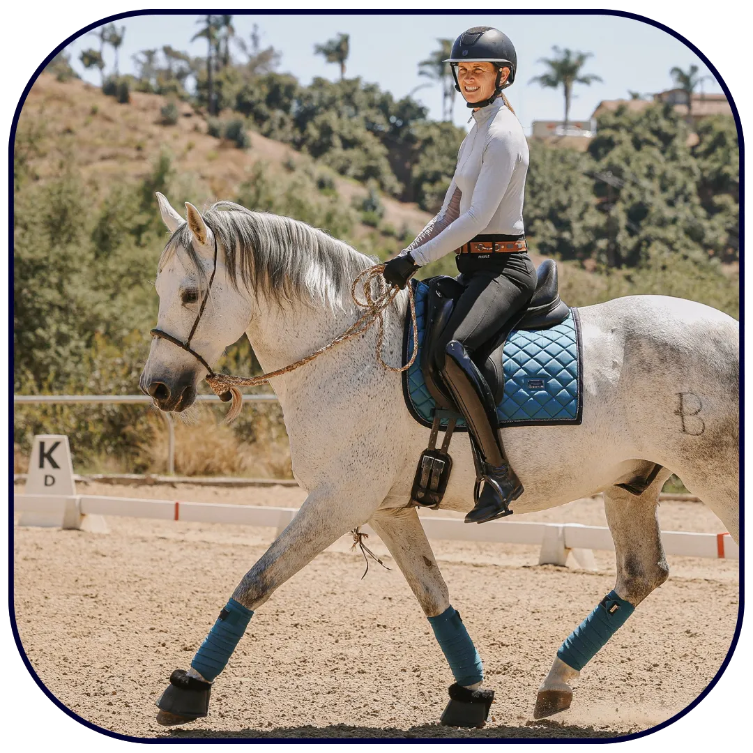 Contact and Connection Webinar Pages 2025 (3)