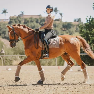 A woman wearing a helmet and riding gear rides a chestnut horse in an outdoor arena on a sunny day, with trees and a house in the background—preparing for the 2025 Open with just 30 Days to Round left.