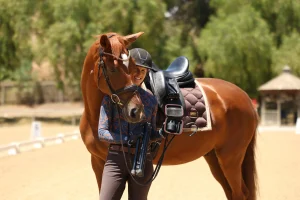 A smiling person in PIVO riding gear stands beside a saddled chestnut horse on a sunny outdoor arena with trees and a gazebo in the background. Sold Out signs hang nearby, highlighting the event’s popularity.
