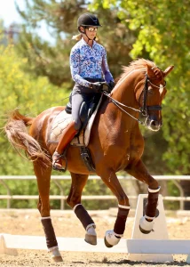 A person wearing a helmet, sunglasses, and a patterned shirt rides a brown horse performing flying changes in an outdoor arena, surrounded by trees and sunlight. The horse appears mid-trot with protective wraps on its legs.