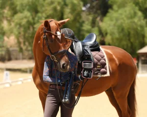 A smiling person in a helmet stands next to a brown PIVO horse with a saddle, holding the reins. They are outdoors on a sandy area with green trees in the background. This popular riding session is now Sold Out.