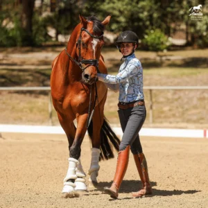 Amelia Newcomb in professional dressage attire leads a bay horse at a walk in a dressage arena, demonstrating fundamental equestrian training principles.