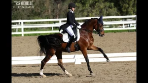 A rider in formal attire and helmet performs dressage on a bay horse wearing a blue ear bonnet, trotting in an outdoor sandy arena as they train tempi changes, with white fencing and greenery in the background.