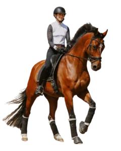 A person wearing a helmet and riding attire is riding a brown horse, equipped with protective leg wraps and tack, while trotting forward—demonstrating skills often found in Free Dressage or explained in a Dressage PDF.