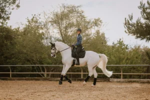 A person wearing a helmet and riding gear is engaged in dressage training, riding a white horse in an outdoor sandy arena surrounded by green trees and a wooden fence.