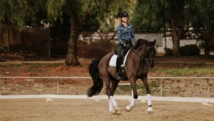 A person wearing a helmet and patterned shirt practices dressage foundations while riding a dark horse with white leg wraps in an outdoor arena, surrounded by trees and a fence.