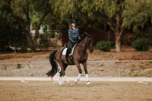 A person wearing a helmet and patterned shirt rides a dark brown horse with white leg wraps in an outdoor arena, surrounded by trees and sand—an ideal setting for dressage training and building dressage foundations.