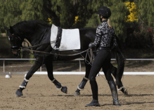 A woman in equestrian gear leads a black horse in a sandy arena, both practicing groundwork exercises. Perfect for holiday workshops, this setting offers hands-on training for all skill levels.