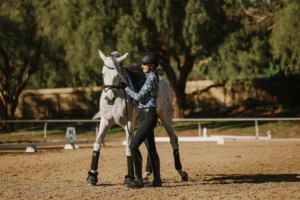 A person wearing a helmet and boots is leading a white horse on a sandy area outdoors, surrounded by trees. Both appear ready for dressage training and other equestrian activities.