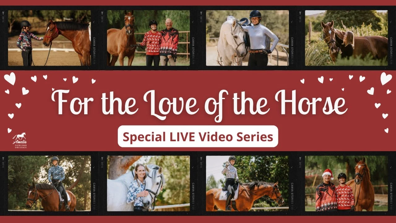 Rewatch Now: The Three Secrets to Being Successful in Dressage