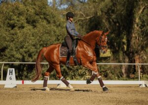 A person wearing a helmet and patterned shirt rides a chestnut horse in an outdoor dressage arena, surrounded by trees, passing a white marker labeled H—perhaps honing skills for future masterclasses.