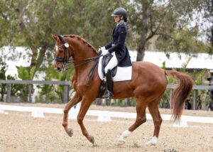A rider in formal equestrian attire guides a chestnut horse with a braided mane through a dressage routine in an outdoor arena, surrounded by greenery and a wooden fence, showcasing skills honed through masterclasses.
