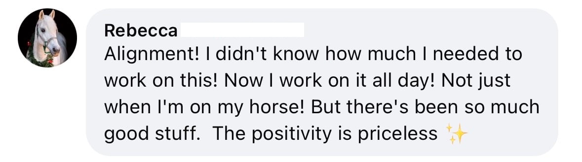 A comment from Rebecca, profile photo of a bay horse, reads: Alignment! Now I practice it on and off my horse all day—so valuable!.
