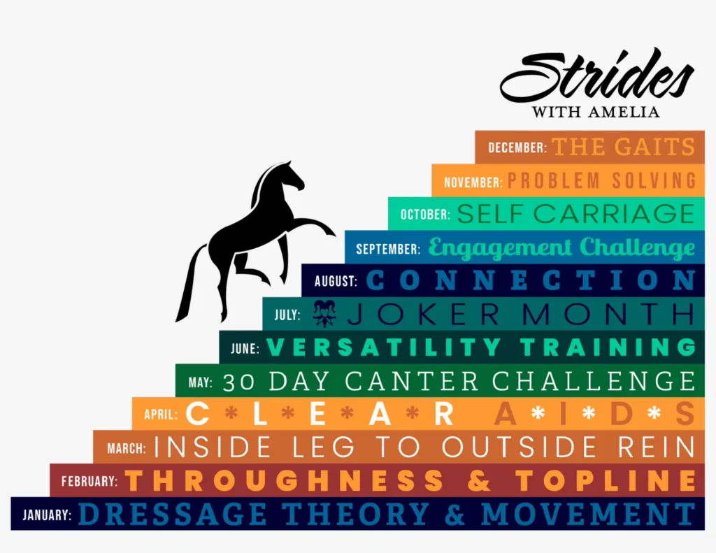 A black horse silhouette ascends vibrant, color-coded steps, each labeled with a focused monthly dressage module—from Dressage Theory & Classical Movement in January to Mastery of the Gaits in December. At the top, "Strides with Amelia" is prominently displayed.