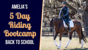 A student in casual riding attire rides a bay horse at a working trot within an outdoor sand arena. Text overlay reads: Amelia's 5 Day Riding Bootcamp Back to School. The background showcases leafy trees and a wooden rail fence, reflecting the enthusiasm for participating in Riding Bootcamp Replays and reviewing foundational dressage lessons.