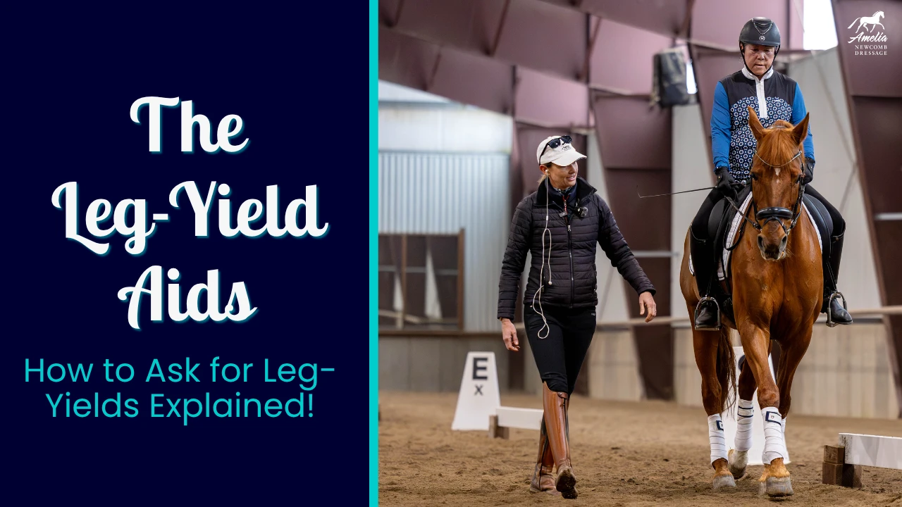 A student rides a bay horse, schooling leg-yield along the long side of an indoor arena. An instructor walks beside them, emphasizing lateral suppleness and engagement through systematic dressage work. Text: The Leg-Yield Aids—How to Ask for Leg-Yields Explained!.