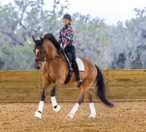 A rider wearing a helmet and floral shirt is aboard a bay horse with white polos, schooling in an outdoor sand arena. The pair are practicing improved accuracy through more balanced, effective turns—possibly using inside leg to outside rein technique—amidst a backdrop of trees and a wooden perimeter fence.