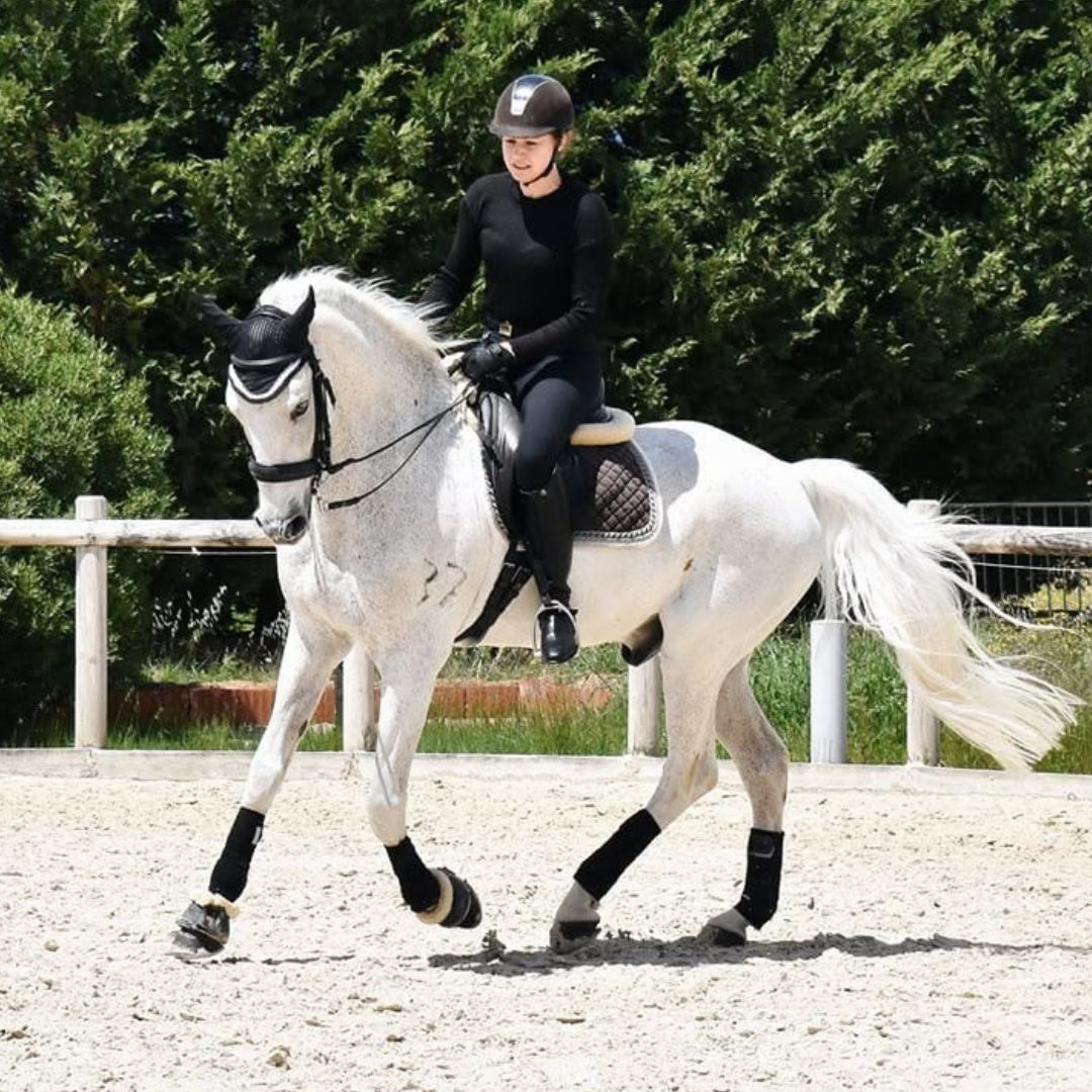 A rider in black dressage gear and helmet is schooling a grey horse in an outdoor sand arena, framed by lush green trees in the background.