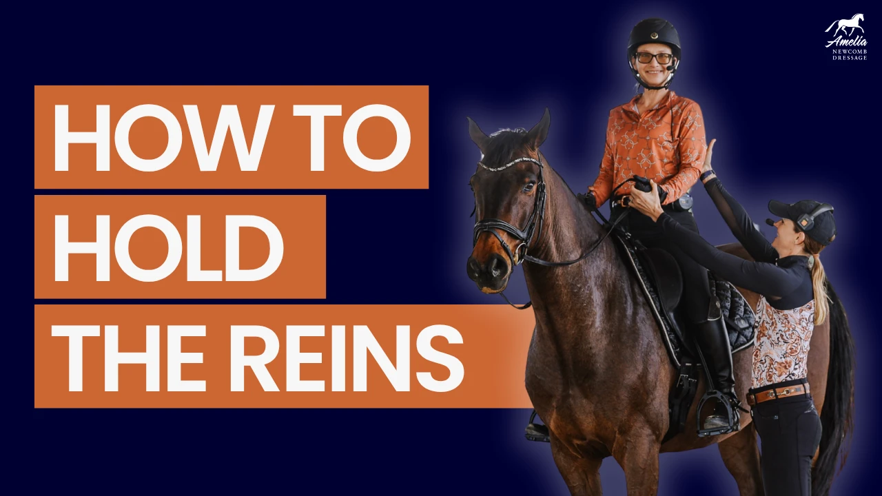 A rider is mounted on a bay horse, practicing rein contact as an instructor stands beside her, clearly demonstrating the correct way to achieve a steady, elastic connection with the curb and snaffle reins. The large text reads, How to Hold the Reins. The background is dark blue with an equestrian logo in the corner.