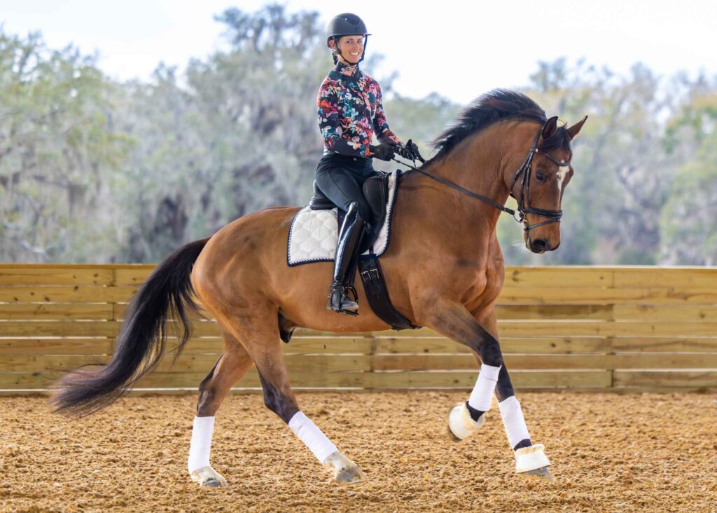A rider in a helmet and floral shirt is mounted on a bay horse, outfitted with white polo wraps and a white saddle pad, schooling in an outdoor arena. The pair appears relaxed, utilizing free educational resources to practice foundational dressage work.
