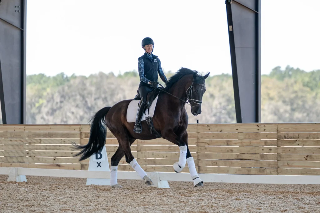 Amelia Newcomb performs an extended trot on a bay horse in a dressage arena.