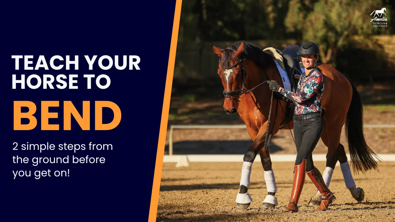 Amelia Newcomb in professional dressage attire leading a bay horse in a bridle and white leg wraps on an outdoor arena, with text overlaid on these horse training exercises: TEACH YOUR HORSE TO BEND 2 simple steps from the ground before you get on!.